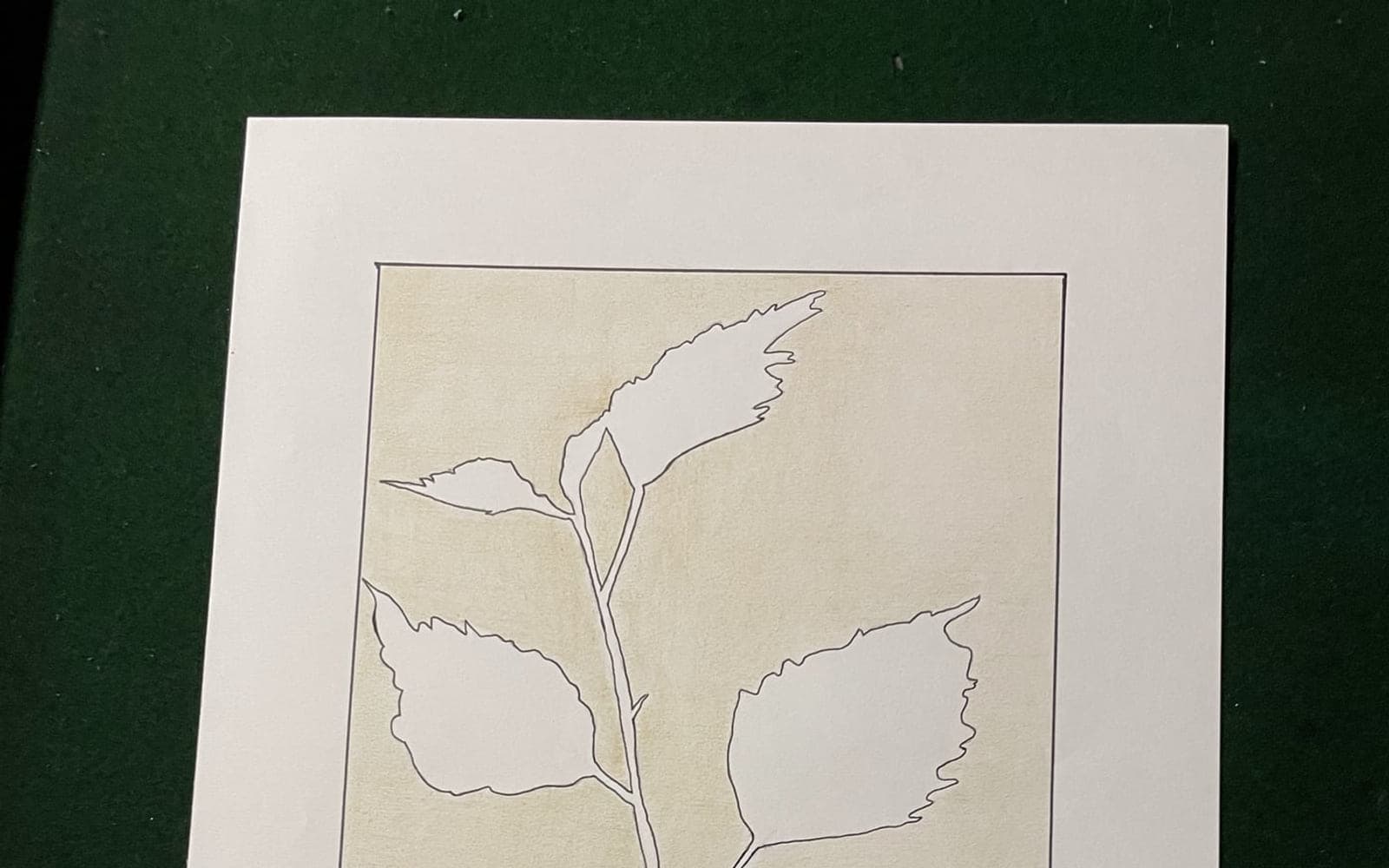 A line drawing of a leafy stem on cream paper
