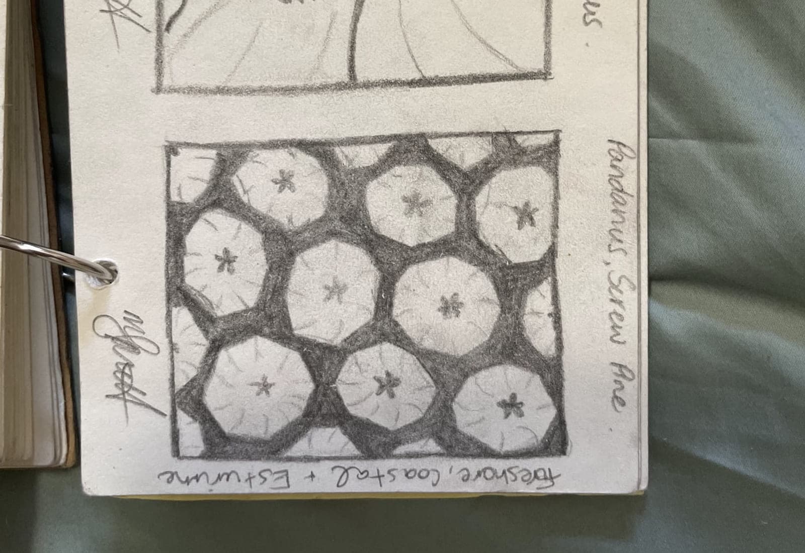 A sketchbook page with a botanical drawing beside a printed pattern